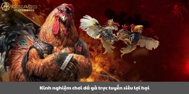 Kinh nghiệm chơi đá gà trực tuyến siêu lợi hại