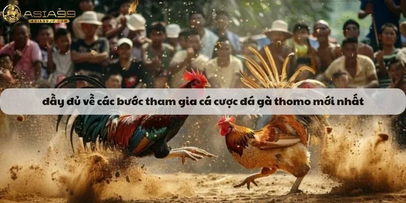 Đầy đủ về các bước tham gia cá cược đá gà thomo mới nhất