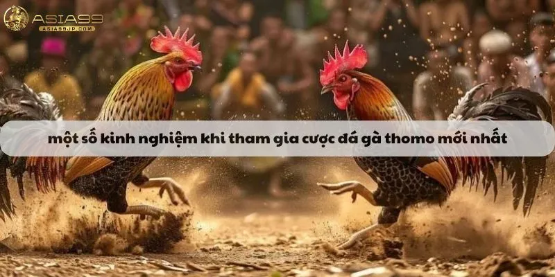 Một số kinh nghiệm khi tham gia cược đá gà thomo mới nhất