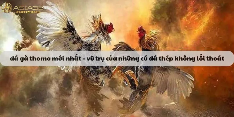 đá gà thomo mới nhất