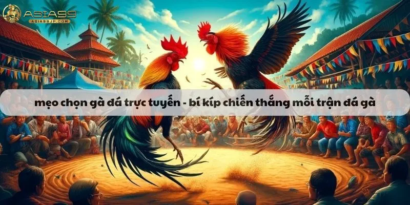 mẹo chọn gà đá