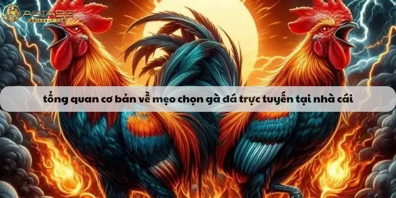 Tổng quan cơ bản về mẹo chọn gà đá trực tuyến tại nhà cái
