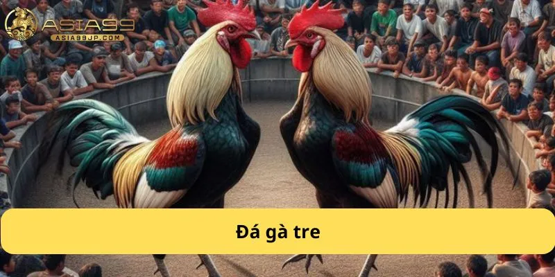 đá gà tre