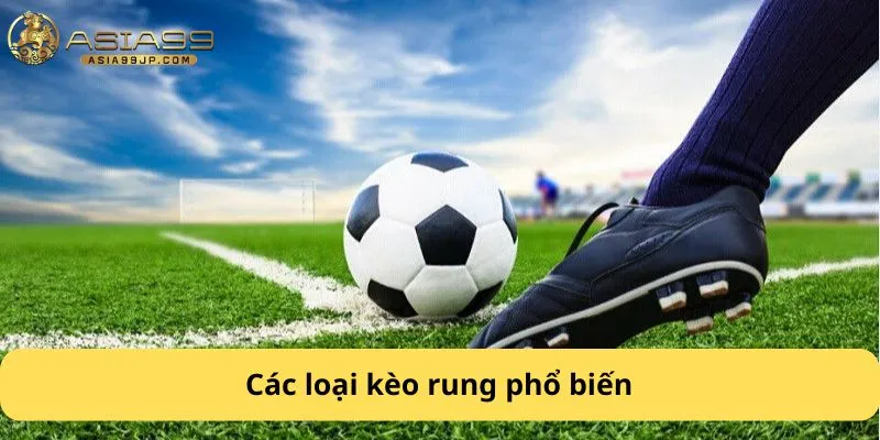 Các loại kèo rung phổ biến