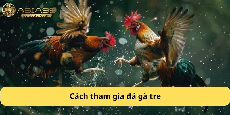 Cách tham gia đá gà tre