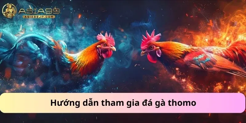 Hướng dẫn tham gia đá gà thomo