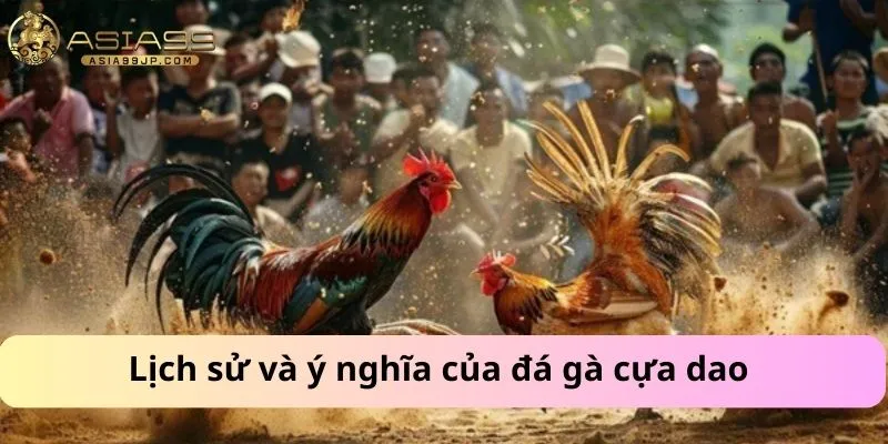 Lịch sử và ý nghĩa của đá gà cựa dao