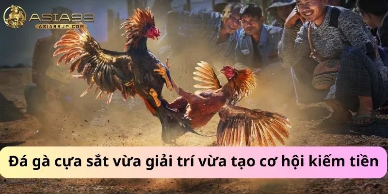 Đá gà cựa sắt vừa giải trí vừa tạo cơ hội kiếm tiền